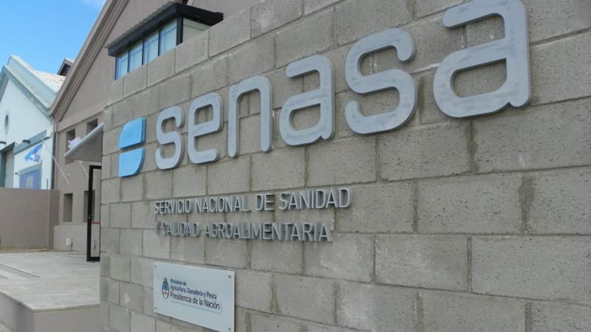SENASA fijó nuevas reglas para la producción comercial de peces
