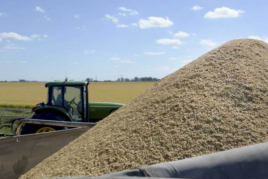 Advierten sobre el riesgo que corre la estrategia argentina de orientarse a los commodities