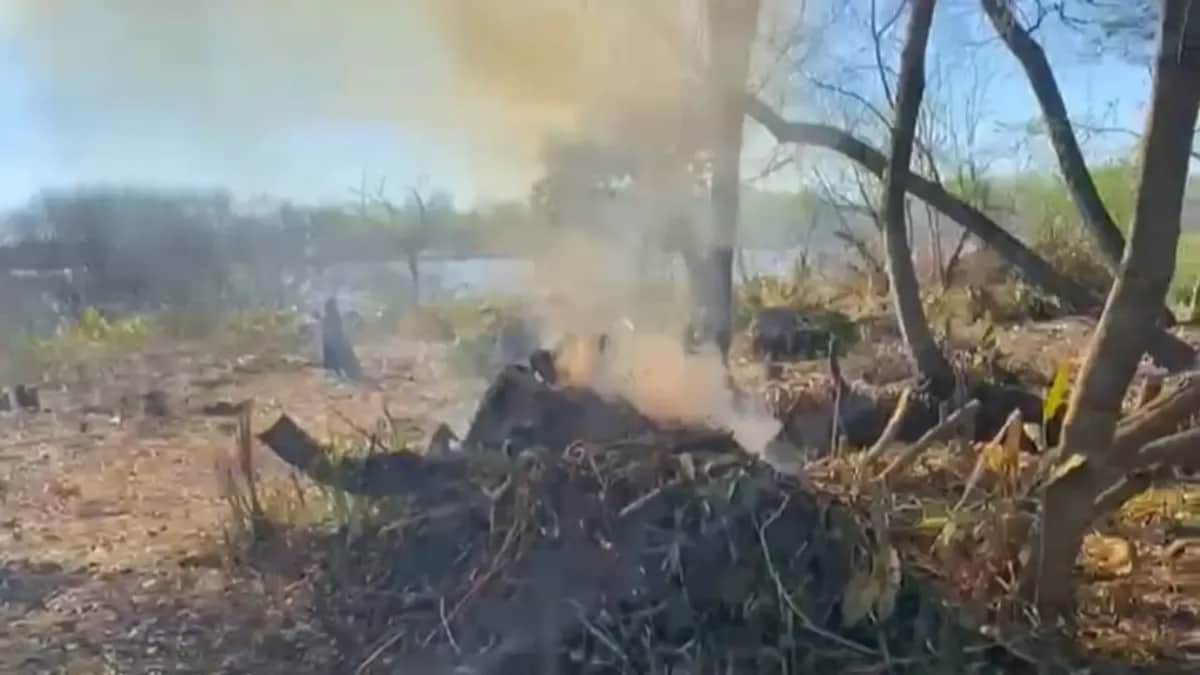 Quemas y desmonte en Isla Santiago: Secco quedó bajo presión por el área protegida