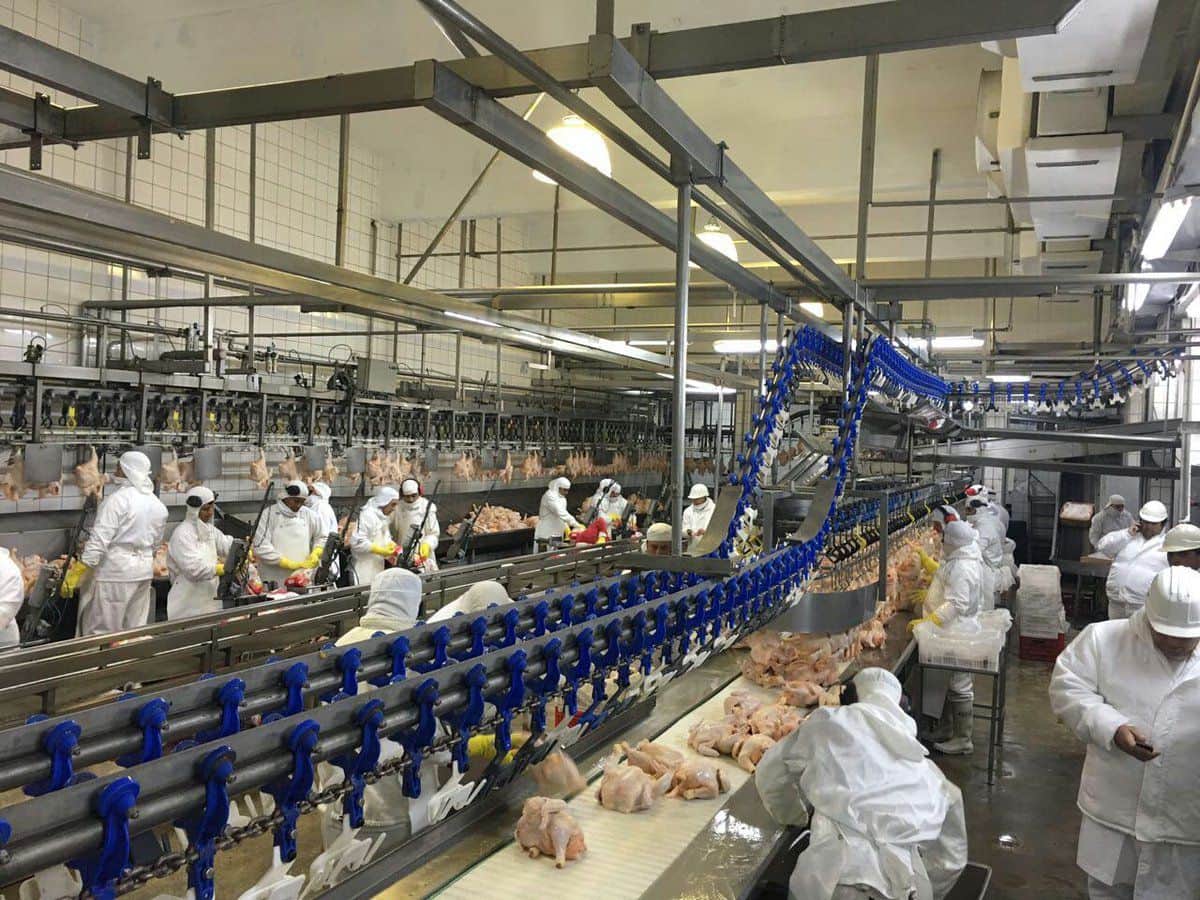 Continúa el efecto dominó en Granja Tres Arroyos: La firma cerró una de sus plantas históricas en la provincia de Buenos Aires y denuncian maniobras de vaciamiento