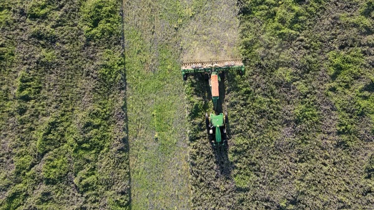 La “caja de ahorro” hacía agua: Desafiando uno de los dogmas más arraigados del agro, Viviana Bondaruk midió qué pasa durante el barbecho y descubrió que no almacena ni la mitad de la humedad disponible