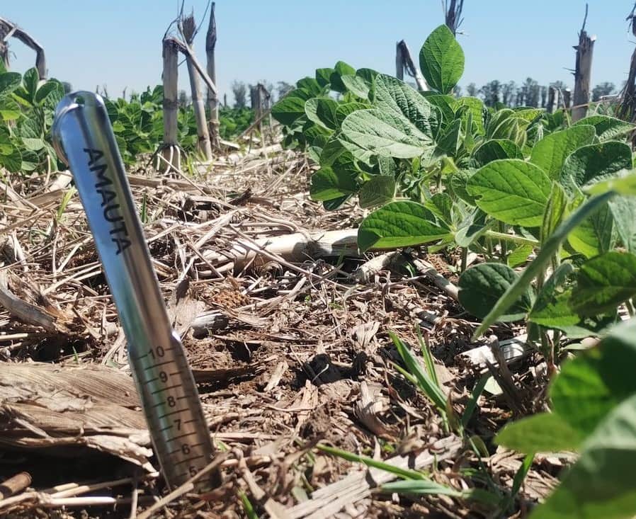 Vieron un déficit del agro argentino y apostaron por la nutrición: Joel Suvirada, de Amauta, dice que los cultivos evolucionaron mucho más rápido que el modo de “darles de comer”