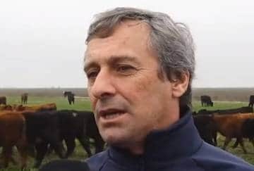 Aun con retención de vientres, el analista Fernando Gil anticipa que la oferta de terneros seguirá ajustada en 2027: “Vemos un mercado ganadero firme para el último trimestre del año”
