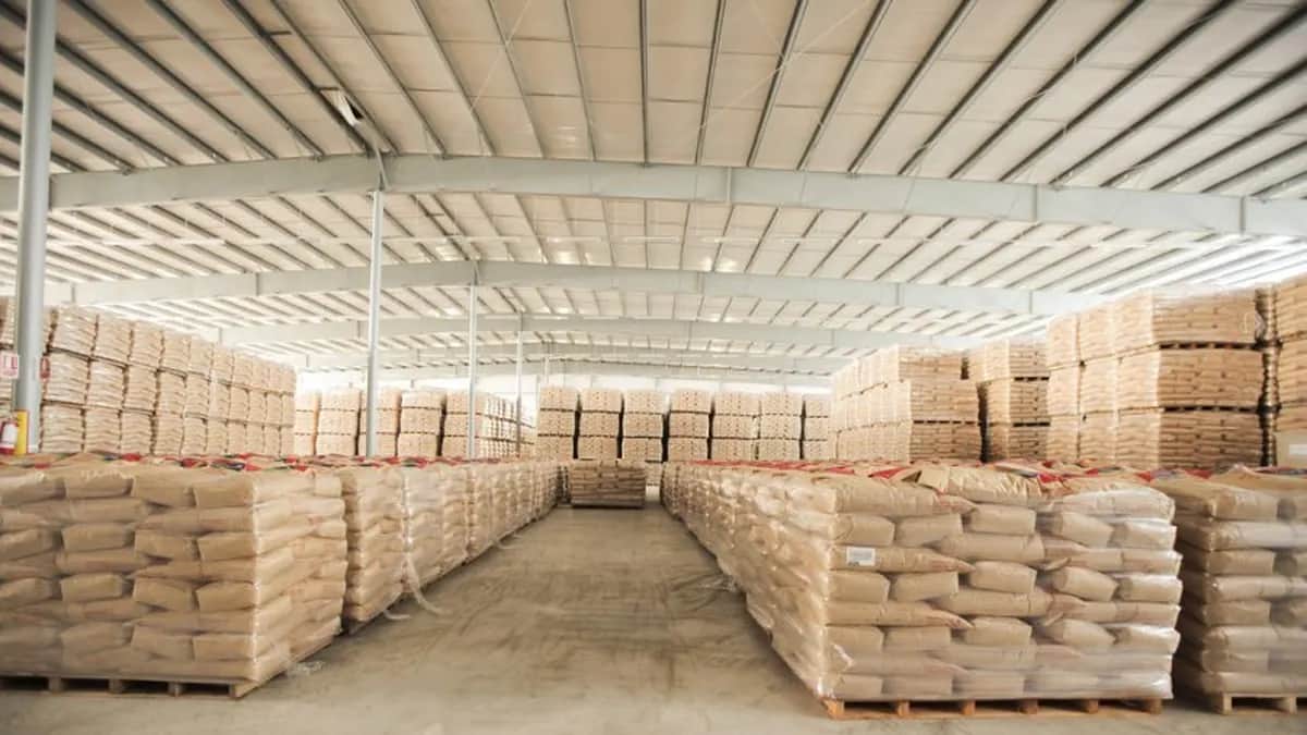 Leche récord: Argentina exportó 20% más lácteos al mundo y el gobierno se entusiasma con un año histórico