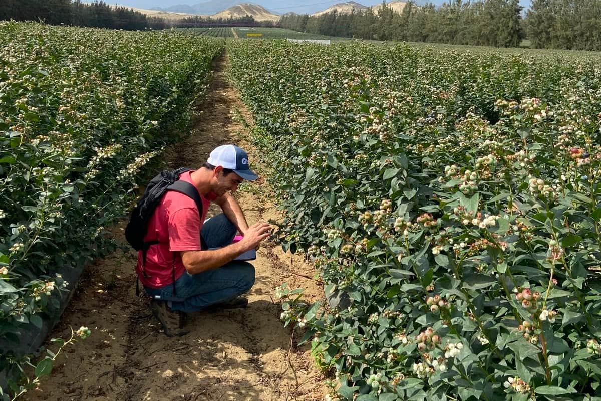AgroExportados: “Africa fue mi mejor psicólogo”, dice Jorde Defeo, un agrónomo argentino que estuvo 5 años allí y hoy ve diferente sus problemas