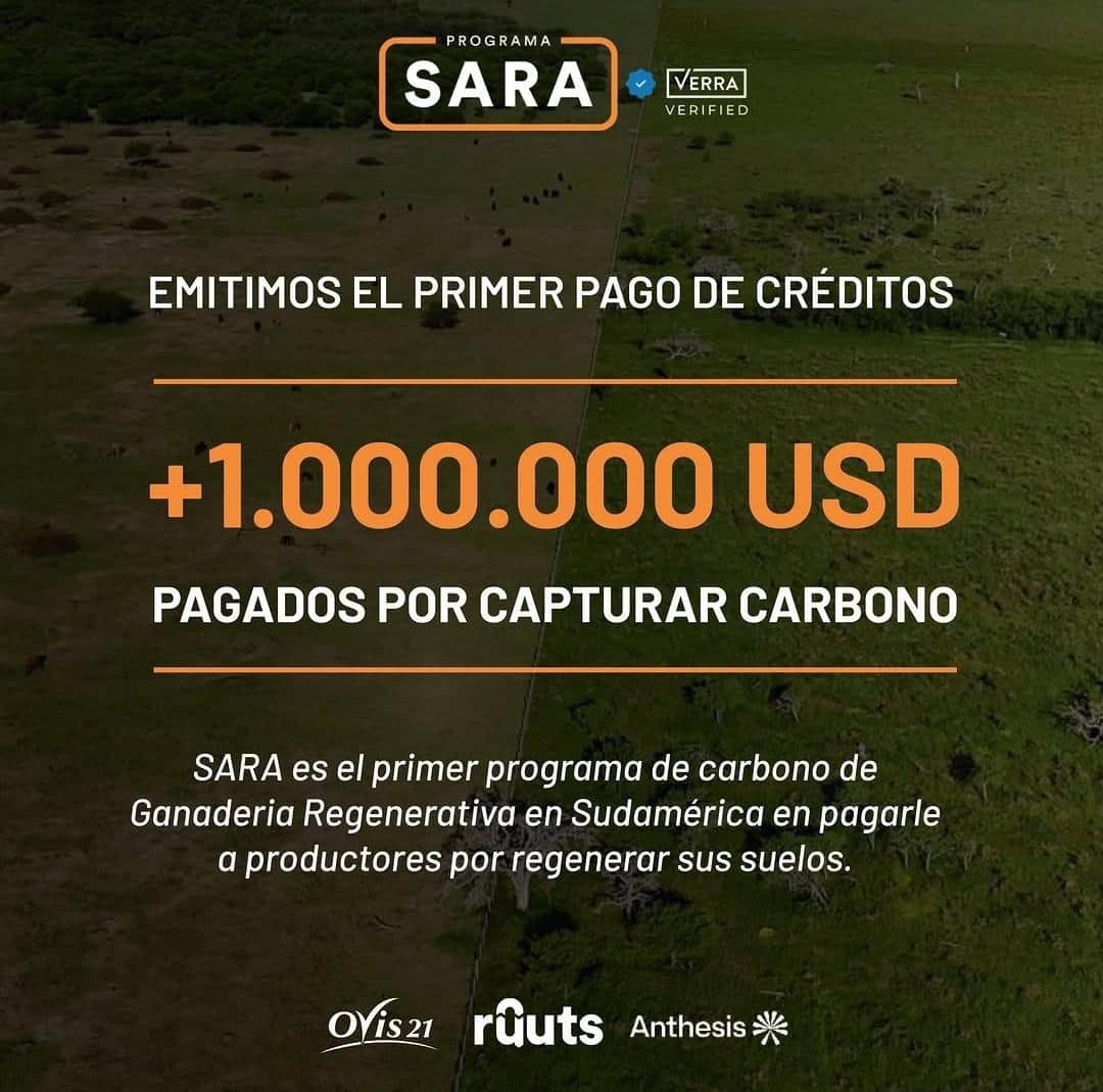 De la promesa al bolsillo: El programa SARA repartió más de 1 millón de dólares por créditos de carbono y los productores cobraron un promedio de 27 dólares por hectárea