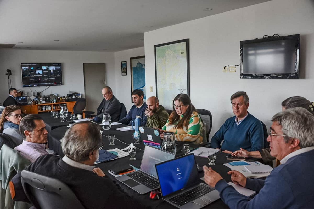En medio de los récords del sector porcino, los pequeños productores advierten por la baja rentabilidad y los efectos de la importación masiva desde Brasil