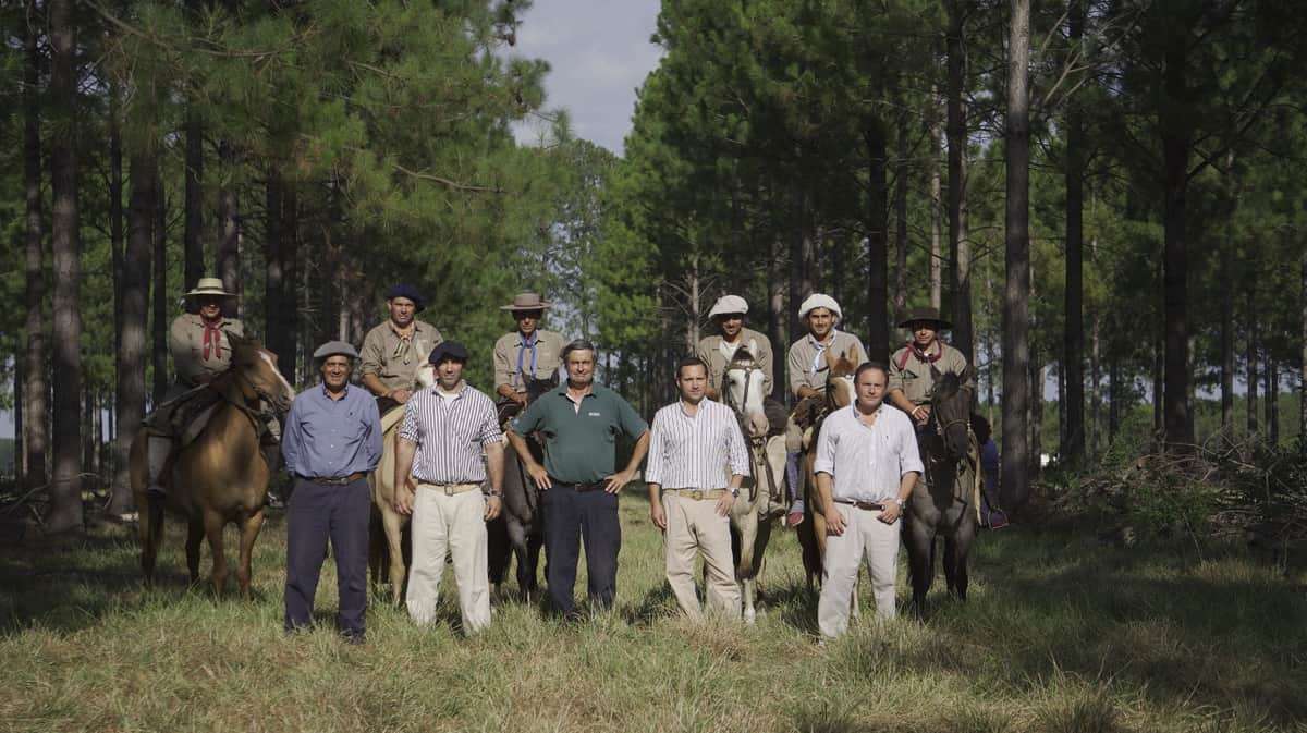 En Corrientes la empresa Zeni integra la ganadería con la producción forestal e invierte en la industrialización de la madera: Esta semana hará su remate anual de genética adaptada a ese entorno difícil