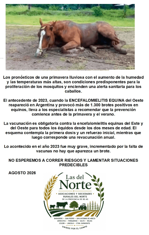 Las rurales del norte bonaerense activaron la alerta por la encefalomielitis equina y piden anticipar la vacunación