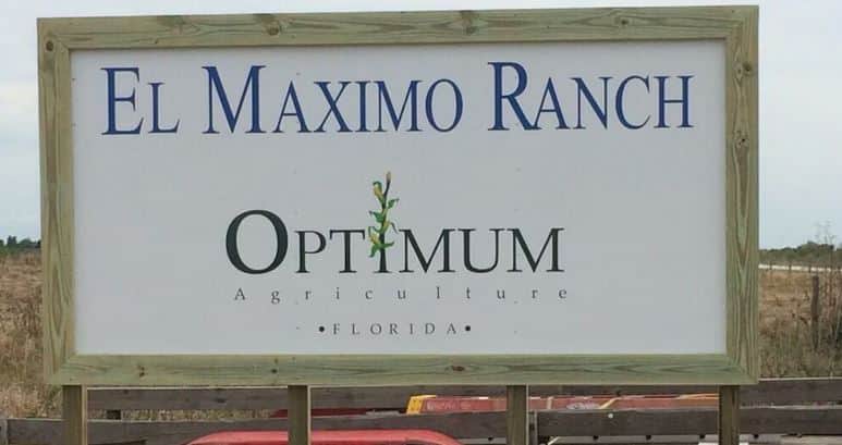 Optimum Agriculture tiene 200 millones de dólares para invertir en campos argentinos y su CEO, Gastón Marquevich, cuenta qué producciones están buscando