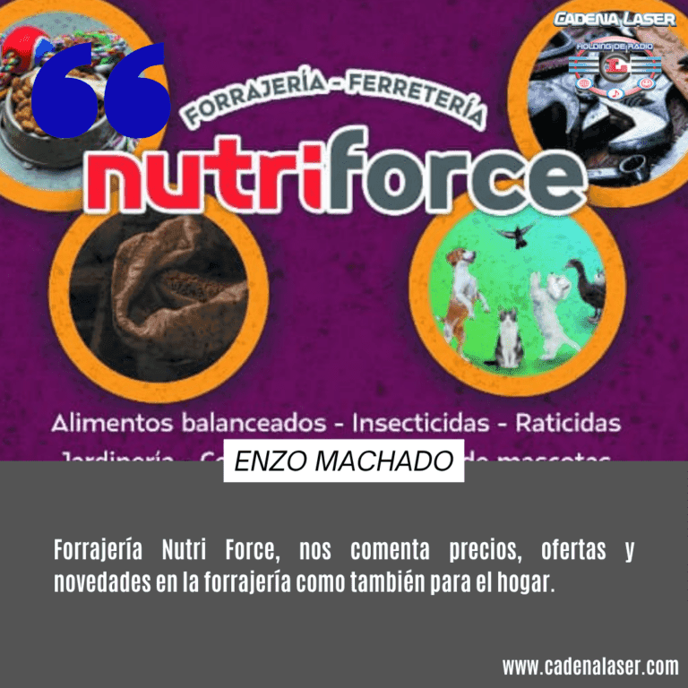NOTA: Enzo Machado
