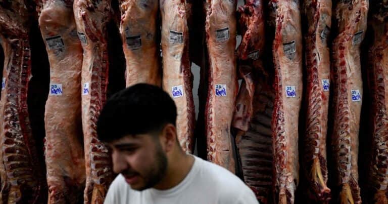 Tras la baja de julio, ¿Qué va a pasar en los próximos meses con el precio de la carne?