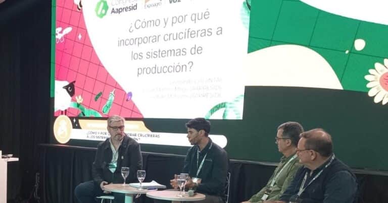 Las claves para saber cómo y por qué incorporar crucíferas a los sistemas de producción