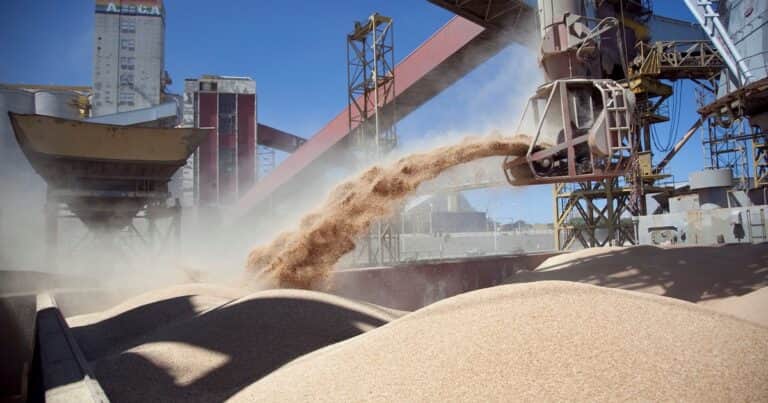 El precio de los granos gruesos toca mínimos en varios años en Argentina y el comercio está planchado