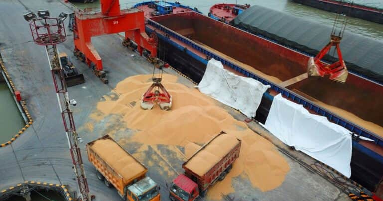 Inesperado cambio de juego en el mercado de soja: China ajusta sus compras por Trump y los datos del USDA