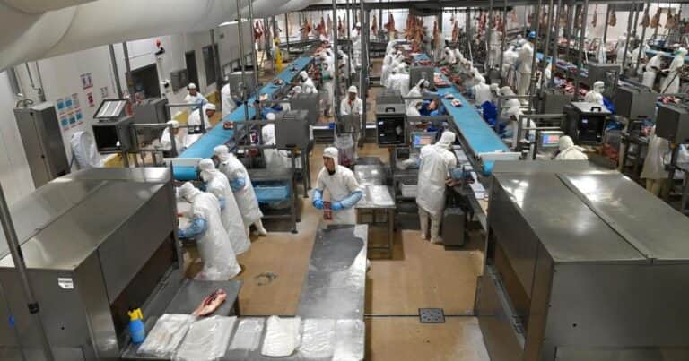 El pedido de Japón a la Argentina para poder comercializar un producto muy demandado en ese mercado