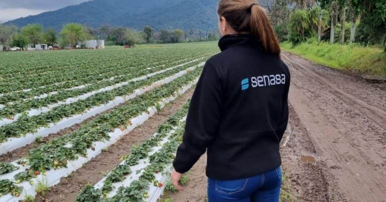 El Senasa deja de arancelar más de 200 servicios