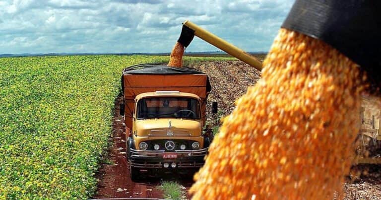 Las exportaciones de maíz argentino marcarán un récord por segundo mes consecutivo
