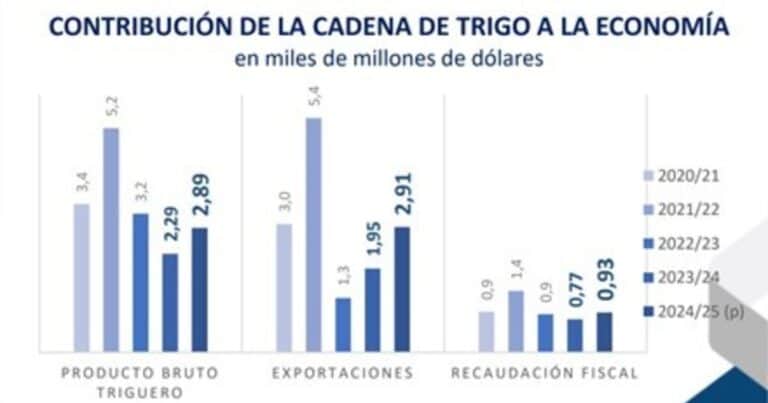 Más dólares del campo: el trigo aportará USD 6726 millones en 2025