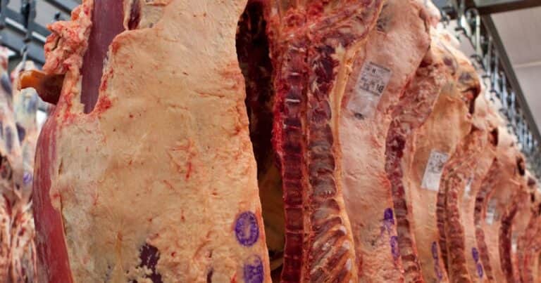 Histórica medida del gobierno de Javier Milei: habilitó el ingreso de carne con hueso a la Patagonia
