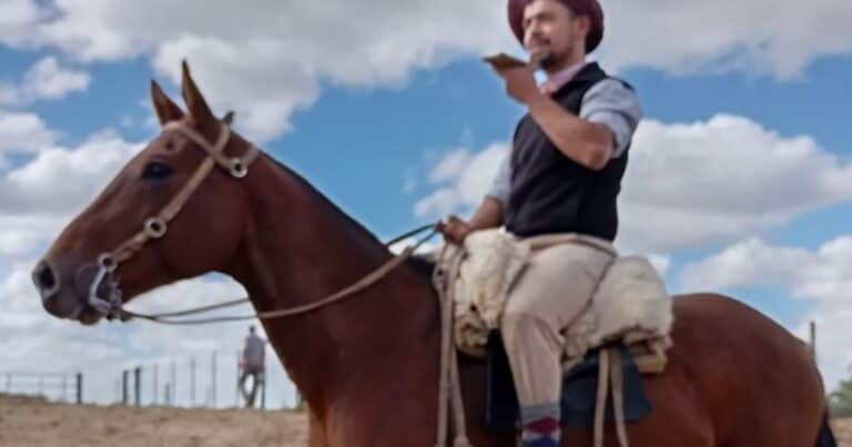 Inventaron una IA que les facilita el trabajo a los gauchos y recupera información clave para la ganadería