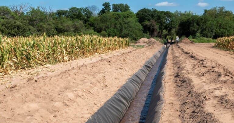 “Fabrican” agua” y producen semillas de mayor calidad y menor huella ambiental