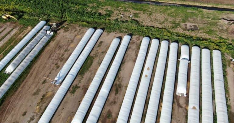 «Somos muy conserva»: cuántas toneladas de soja se guarda el productor para pagar los alquileres agrícolas