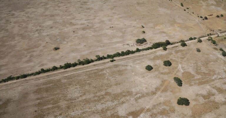 El Gobierno declaró la emergencia agropecuaria para Chaco y Santa Fe