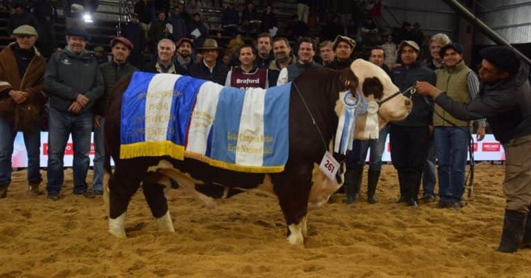 Los Braford coronaron a sus mejores representantes en Corrientes