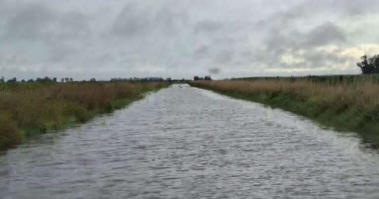 «Nos vamos a fundir»: productores realizaron una manifestación en una ciudad bonaerense por el estado de los caminos rurales
