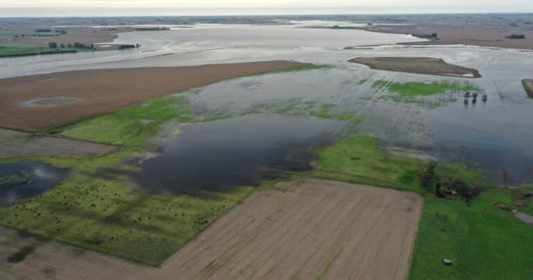 Nuevos desbordes en ríos y canales y bronca de los productores por la falta de mantenimiento