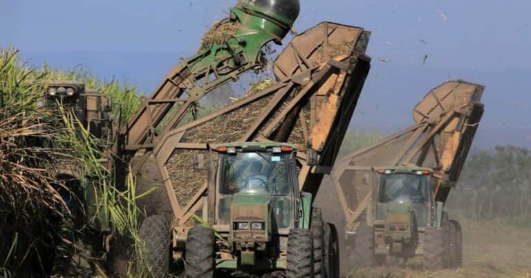 «Salud financiera»: sorpresa por el aumento de más del 450% en el monto de las exportaciones de un sector y fue el que más creció de la agroindustria