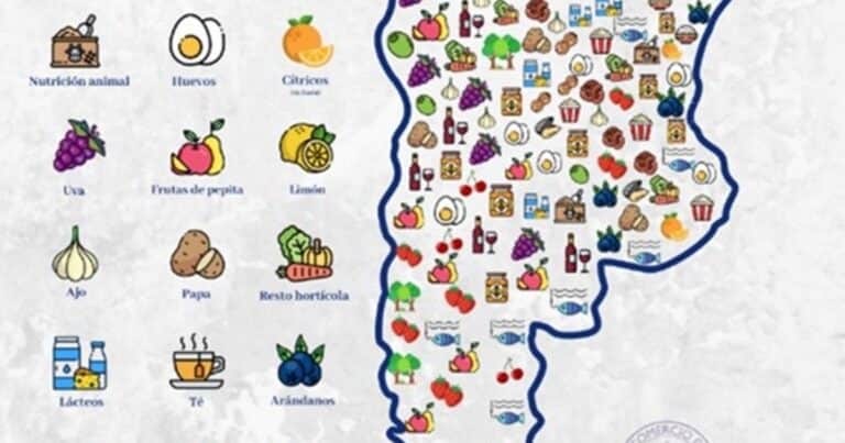 Economías regionales, una por una: donde se producen y cuántos dólares ingresan por exportaciones