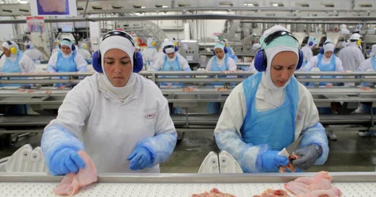 El agro brasileño crecería más de 30% en los próximos 10 años