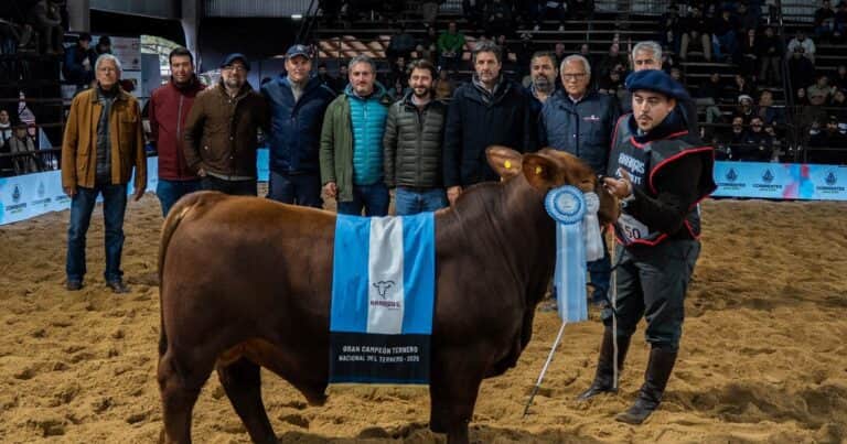 Brangus brilló en Corrientes con la 19° Exposición Nacional del Ternero