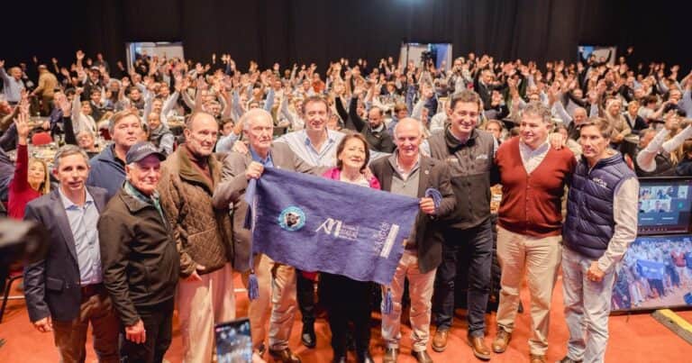 Expo Angus Otoño 2025: precios récord, genética de élite y emociones en un gran remate