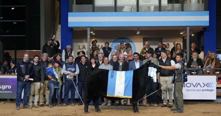 Expo Angus de Otoño 2025: se conocieron a los grandes campeones en hembras