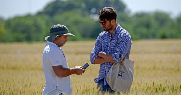 Clima, manejo y precios: un semillero realizó una jornada para encarar la campaña de trigo con información clave