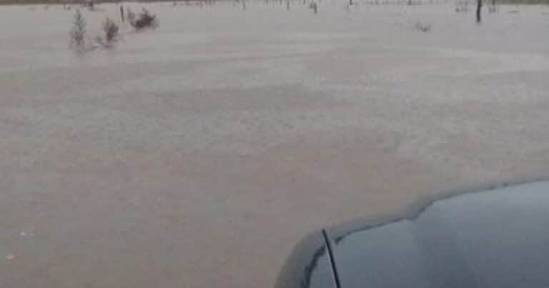 Caminos inundados y posibles pérdidas en los cultivos que no se pudieron cosechar: las intensas lluvias golpean el norte bonaerense