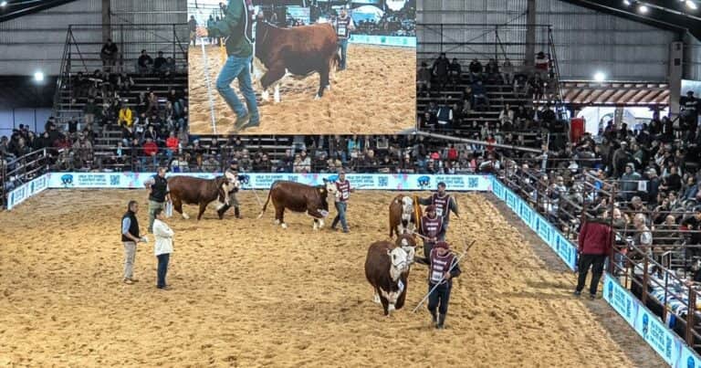 En las Nacionales de Corrientes se expresó el entusiasmo por el presente y futuro de la ganadería
