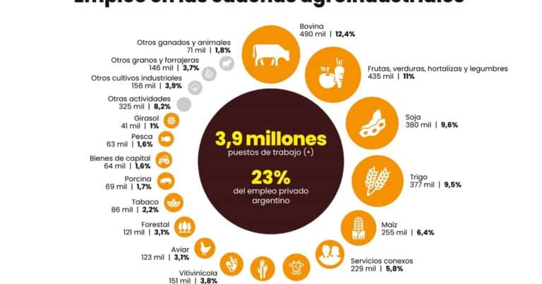 Es el empleo, estúpido