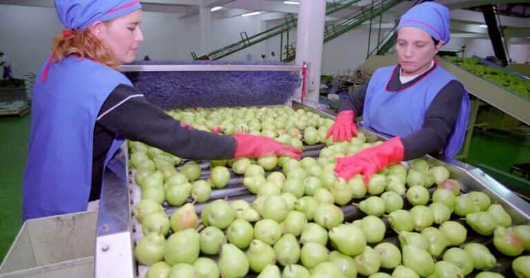 Argentina importa peras de China: qué dicen los productores locales