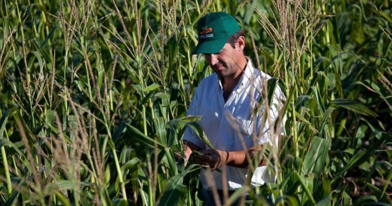 La ventaja competitiva está en las neuronas