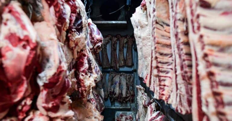 Quinto mes consecutivo de caída en las exportaciones de carne en medio de un mercado internacional con demanda firme y precios en alza