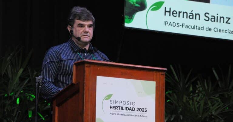Un estudio que preocupa: revelaron el grave deterioro de los suelos de la región pampeana en los últimos 13 años