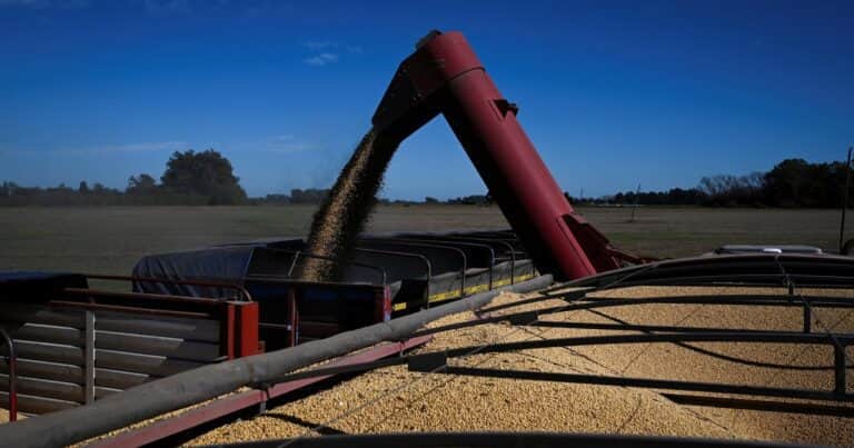 El campo liquidó más de US$ 3.000 millones el mes pasado: un 21% más que en abril