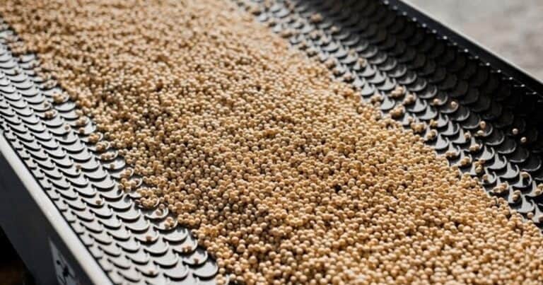 Mercado clave: China aprobó por primera vez la importación del producto que más dolares genera en Argentina
