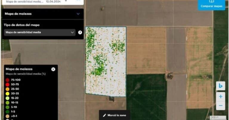 Soluciones digitales que revolucionan el manejo de malezas en el cultivo de maíz