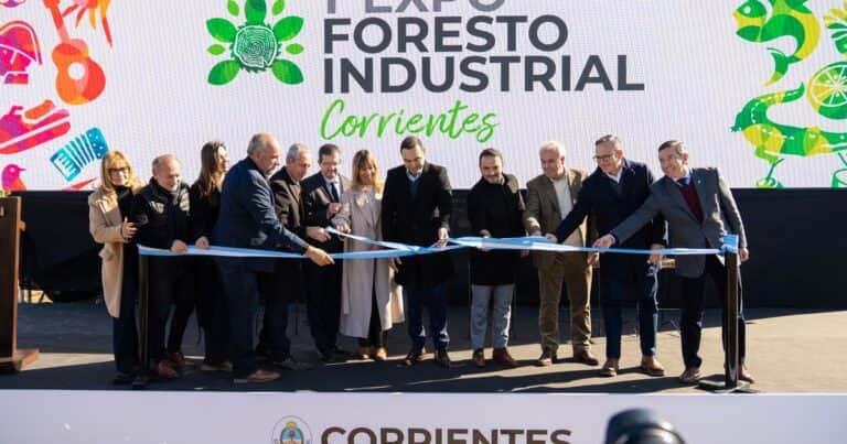 Líder a nivel nacional, Corrientes expone su potencial forestal en una feria