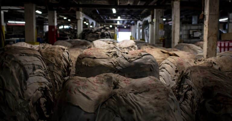 El Gobierno le quitó trabas a la exportación de cueros derogando una norma que beneficiaba a las curtiembres